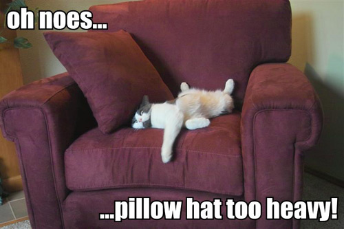 image: oh-noes-pillow-hat-too-heavy